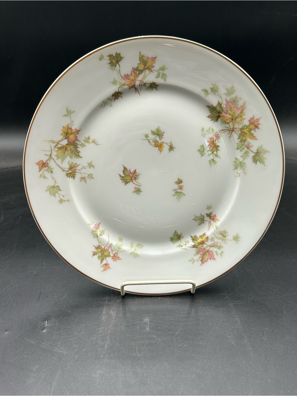 Haviland Limoges Fine China Dinner Plate with Autumn Leaf Motif gold rim